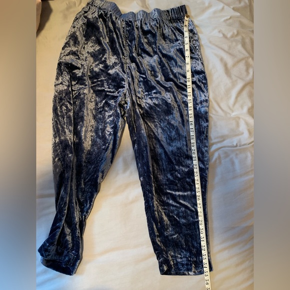 Blue Velvet Elastic waist pants - Anthropologie - Picture 5 of 9